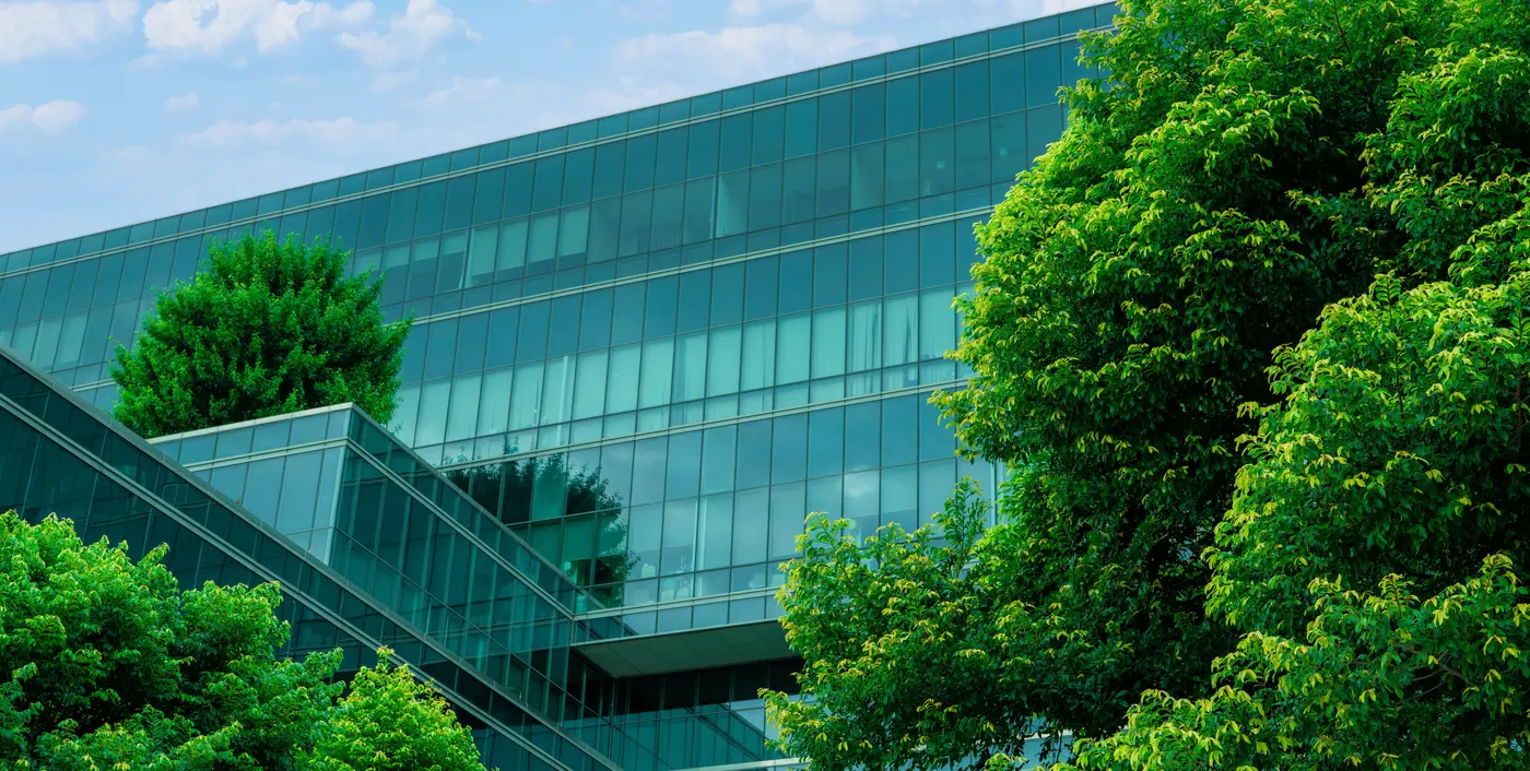 BTT glass office building among the trees