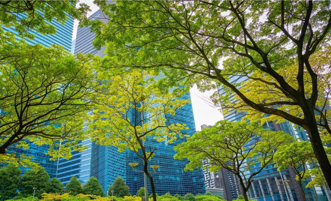 Trees in front of glass office buildings